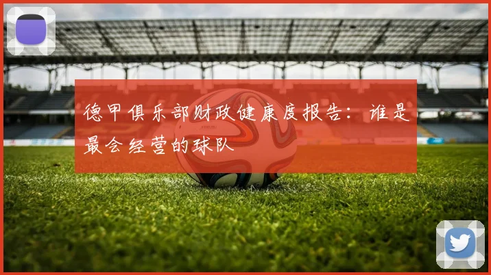 德甲俱乐部财政健康度报告：谁是最会经营的球队